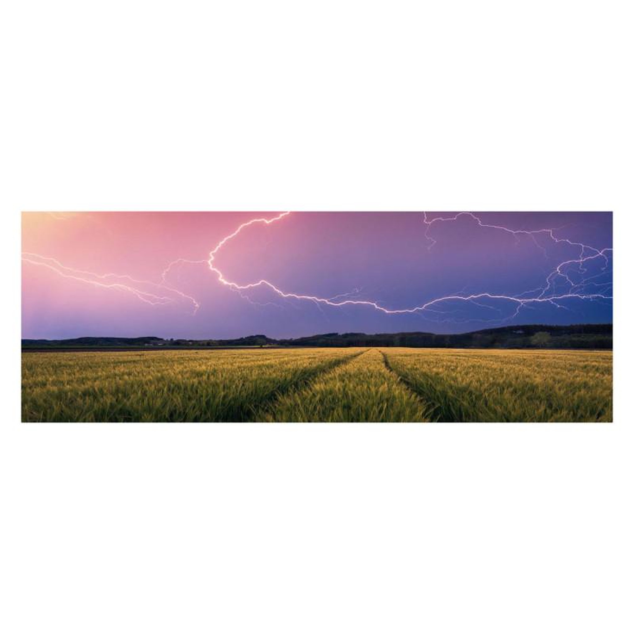 Voir la diapositive 2 : RAVENSBURGER Ravensburger Puzzle Summer Thunderstorm, 500st. 174911