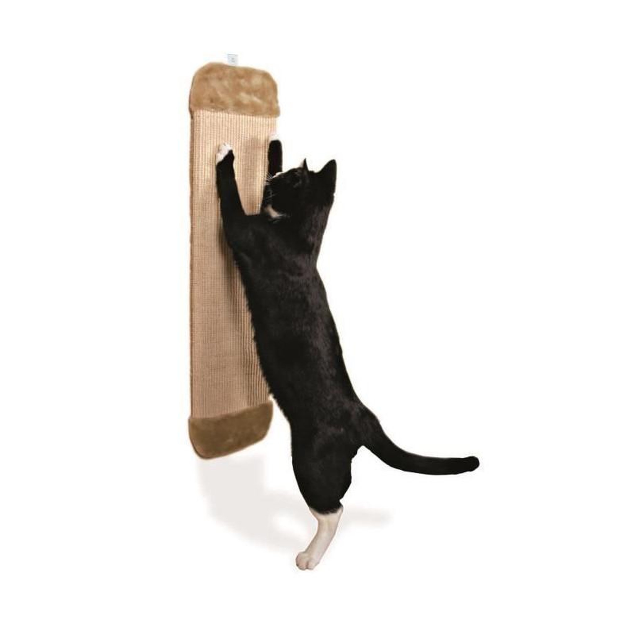 Voir la diapositive 2 : Trixie TRIXIE Griffoir XL avec peluche - Pour chat