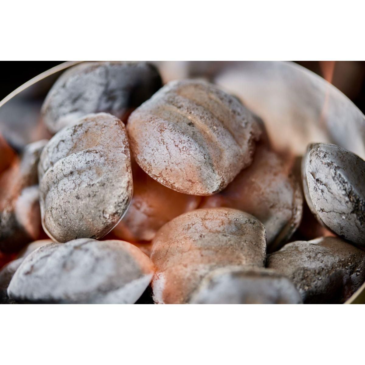 Weber Briquette de charbon de briquettes 8kg de noix de coco