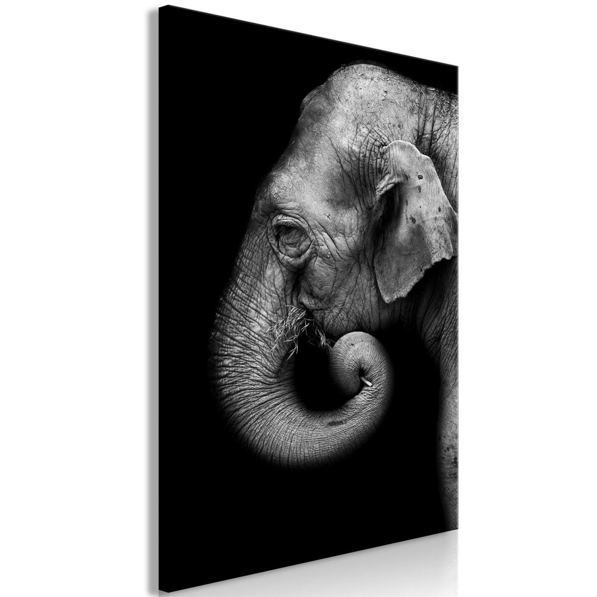 Voir la diapositive 1 : Paris Prix Tableau imprimé  portrait of elephant