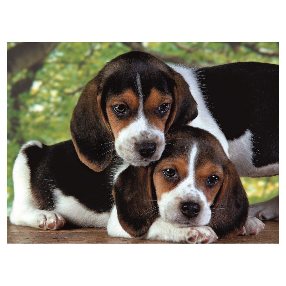 CLEMENTONI Puzzle Close Together 500 pièces