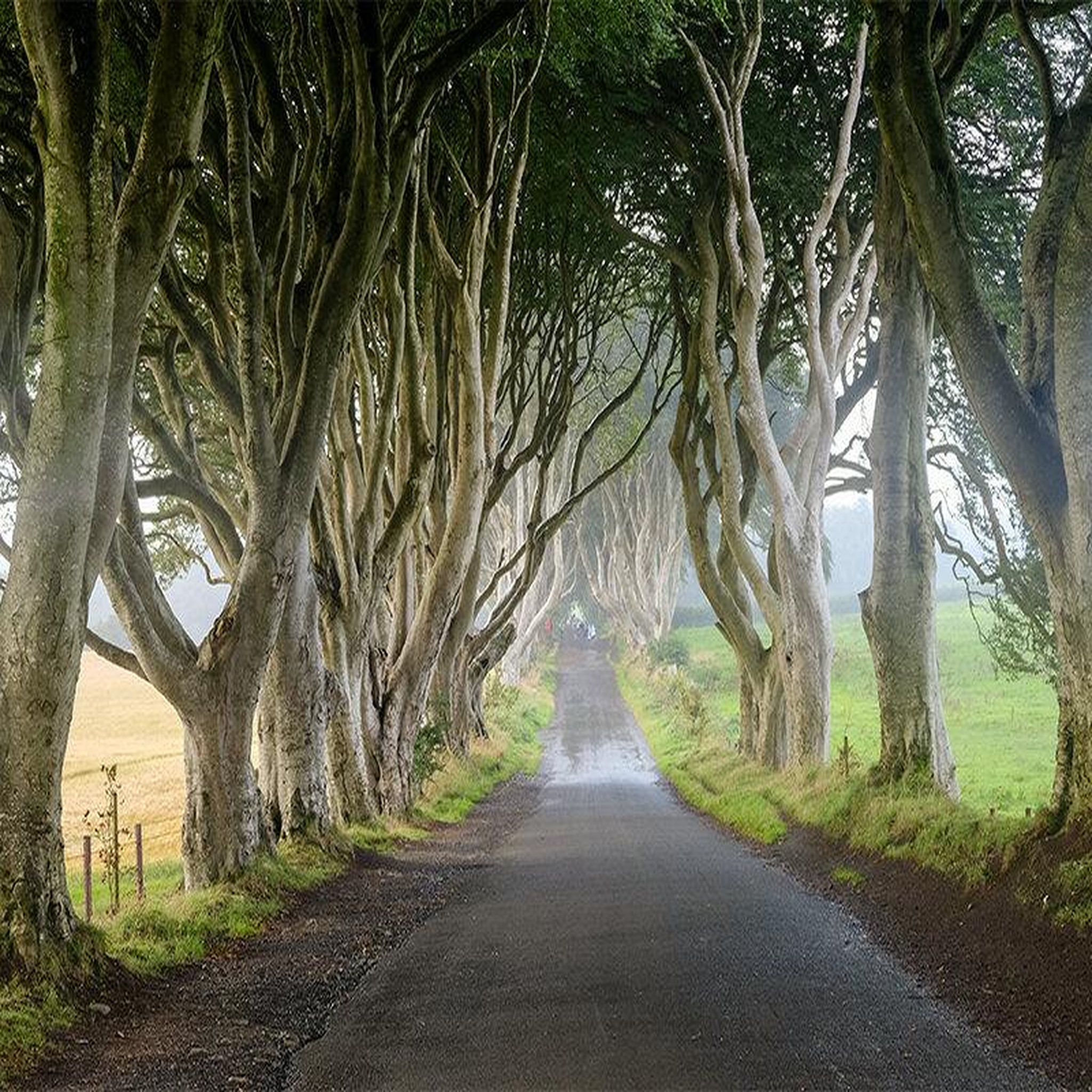 Voir la diapositive 4 : Smartbox 4 jours à dublin avec visite guidée des lieux emblématiques de game of thrones® - coffret cadeau séjour
