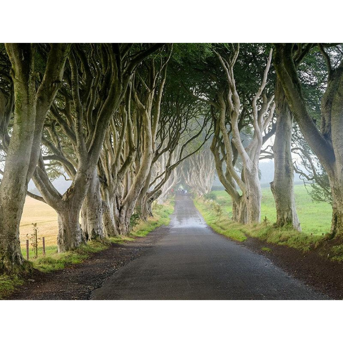 Smartbox 4 jours à Dublin avec visite guidée des lieux emblématiques de Game of Thrones® - Coffret Cadeau Séjour