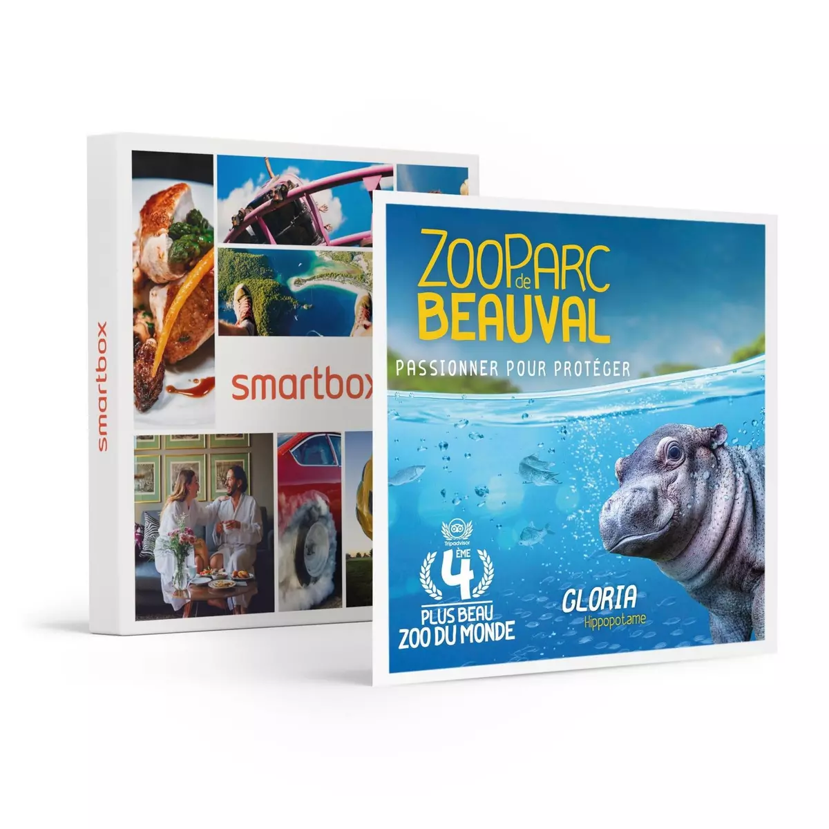 Smartbox Découverte du ZooParc de Beauval en 2024 pour 1 enfant - Coffret Cadeau Sport & Aventure
