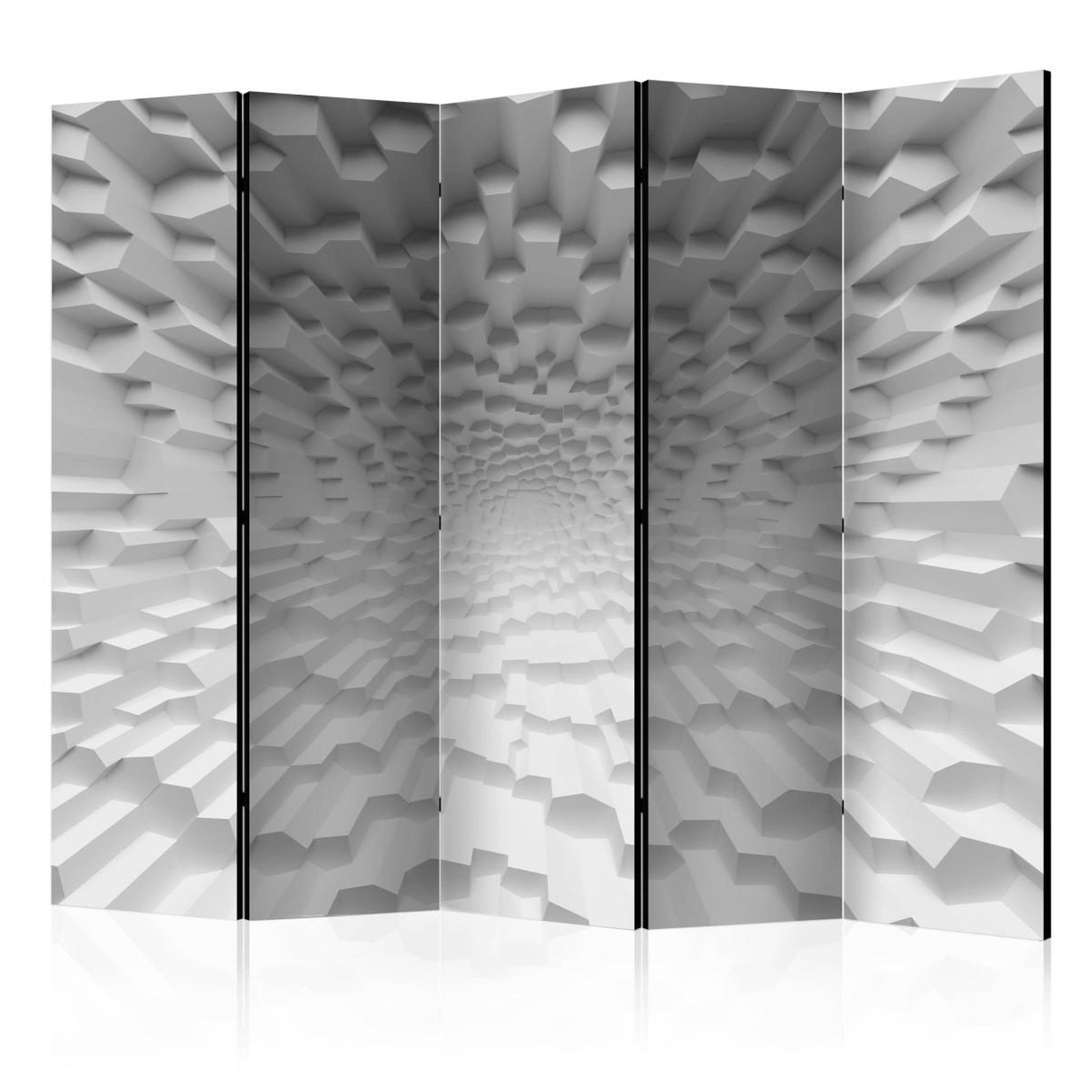 Paris Prix Paravent 5 volets  the abyss of oblivion  172x225cm
