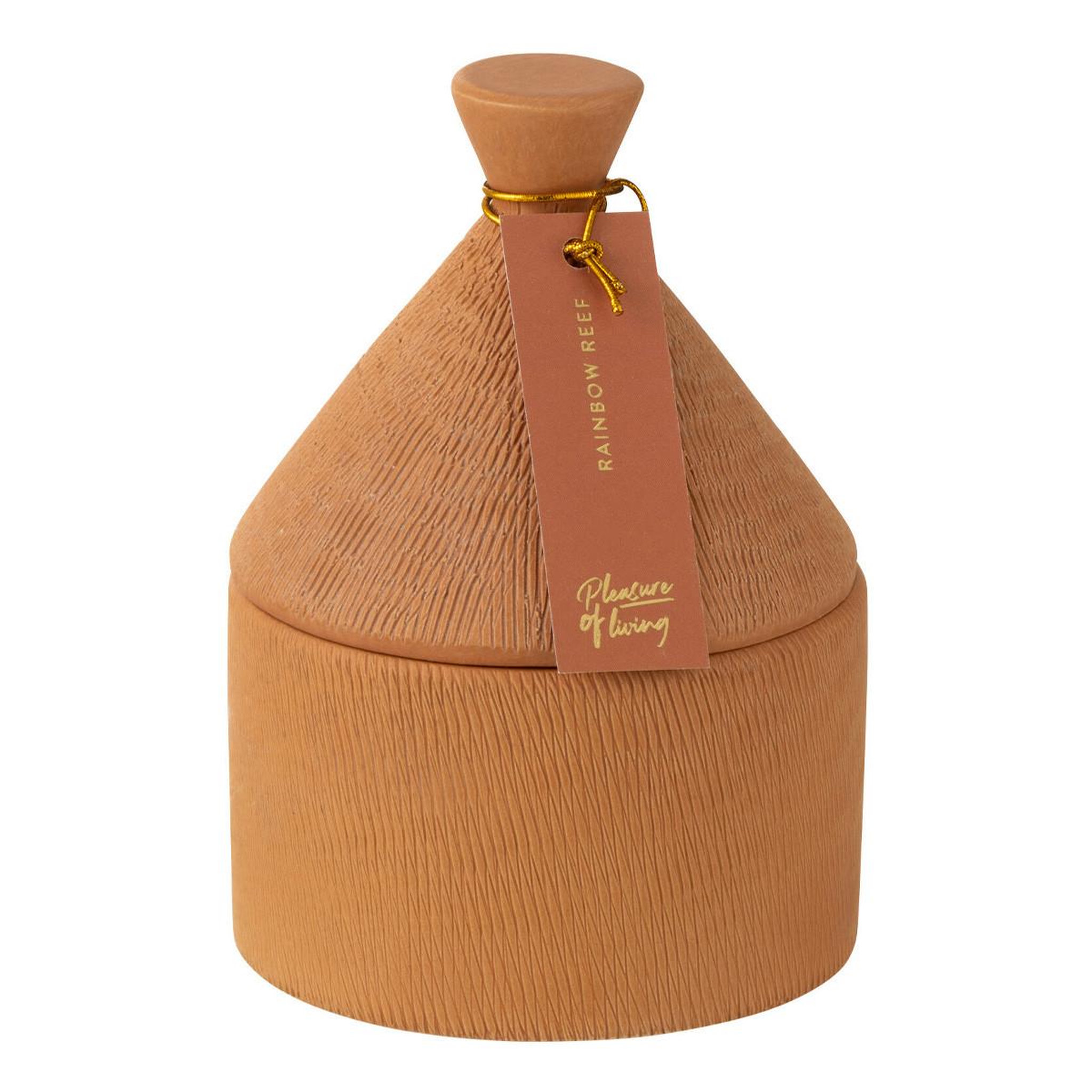 Voir la diapositive 2 : J-LINE Bougie parfumée  izia  17cm rainbow reef