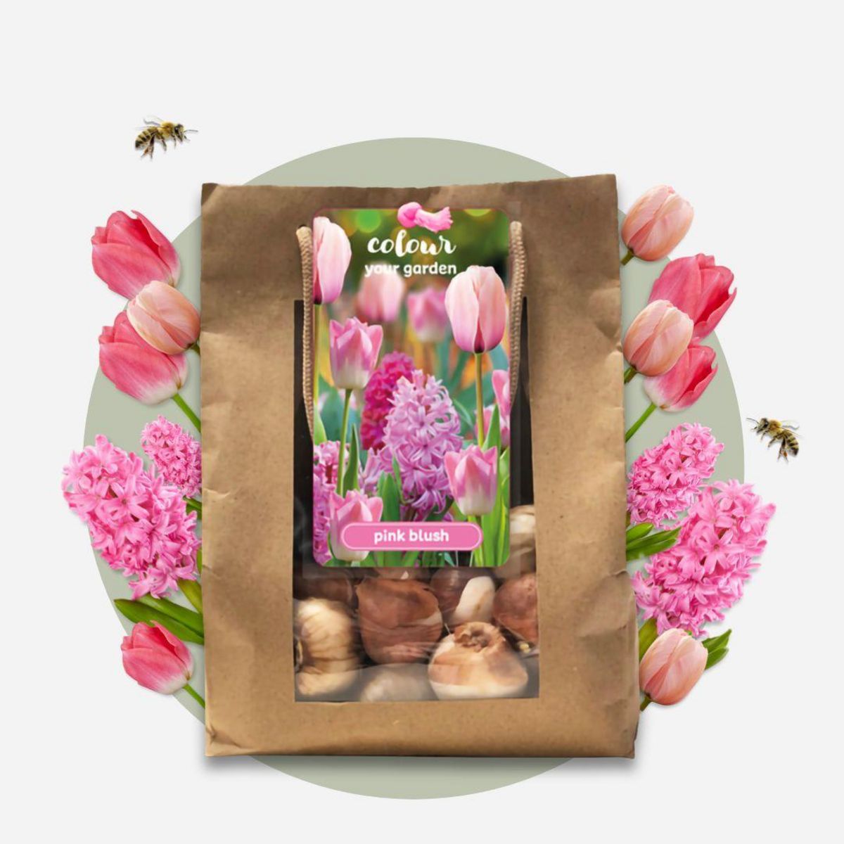PLANT IN A BOX Mélange de bulbes pour le jardin - Set de 25 - Tulipa, Hyacinthus