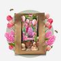 Voir la diapositive 5 : PLANT IN A BOX Mélange de bulbes pour le jardin - Set de 25 - Tulipa, Hyacinthus