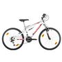 Voir la diapositive 3 : BACHINI Vélo VTT 24'' Tout Suspendu avec transmission complète Shimano pour enfant de taille comprie entre 1.35 et 1.60m + Garde-boues offerts !