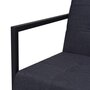 VIDAXL Sofa a 2 places avec accoudoirs acier et tissu gris fonce