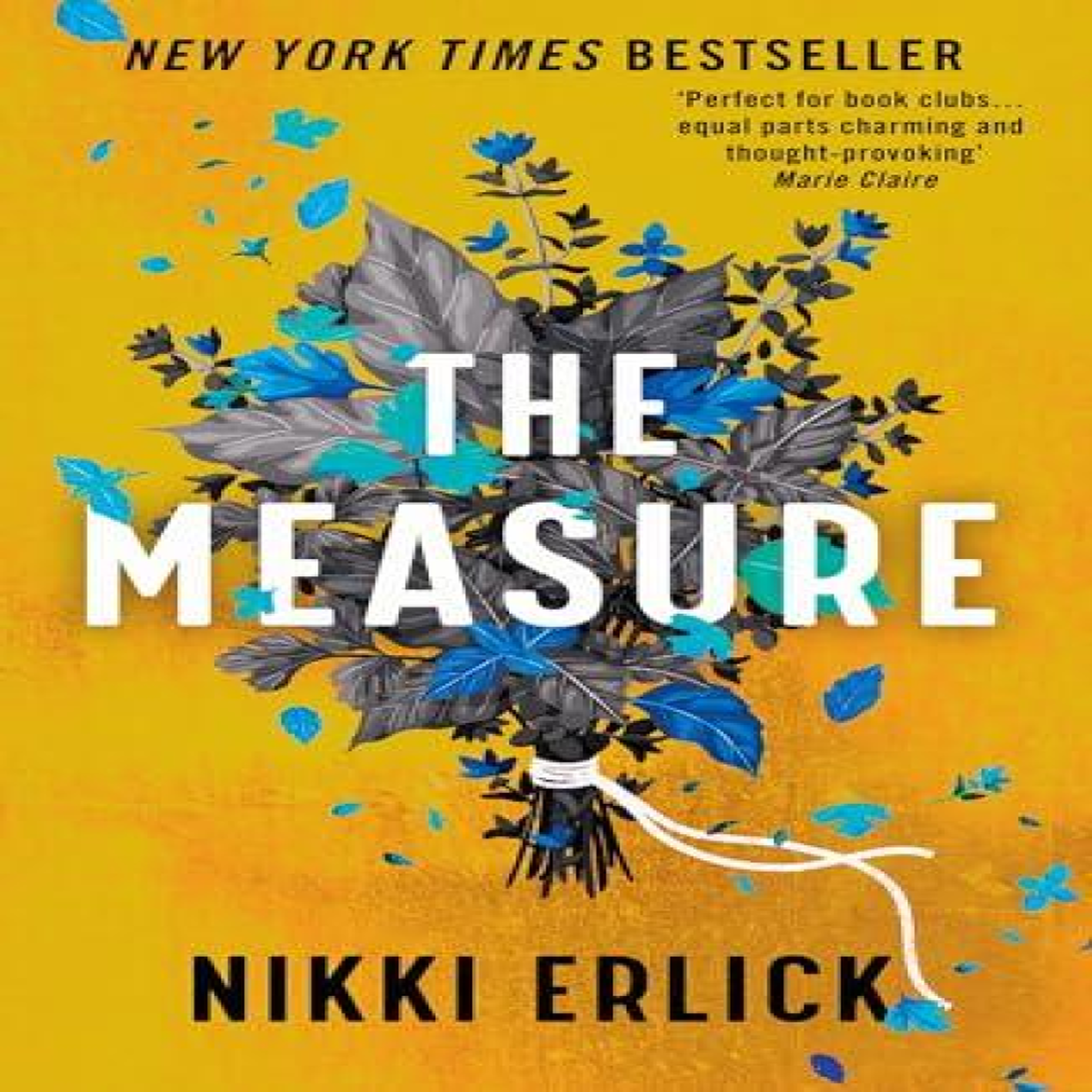 LIVRES MEASURE PB - Nikki Erlick