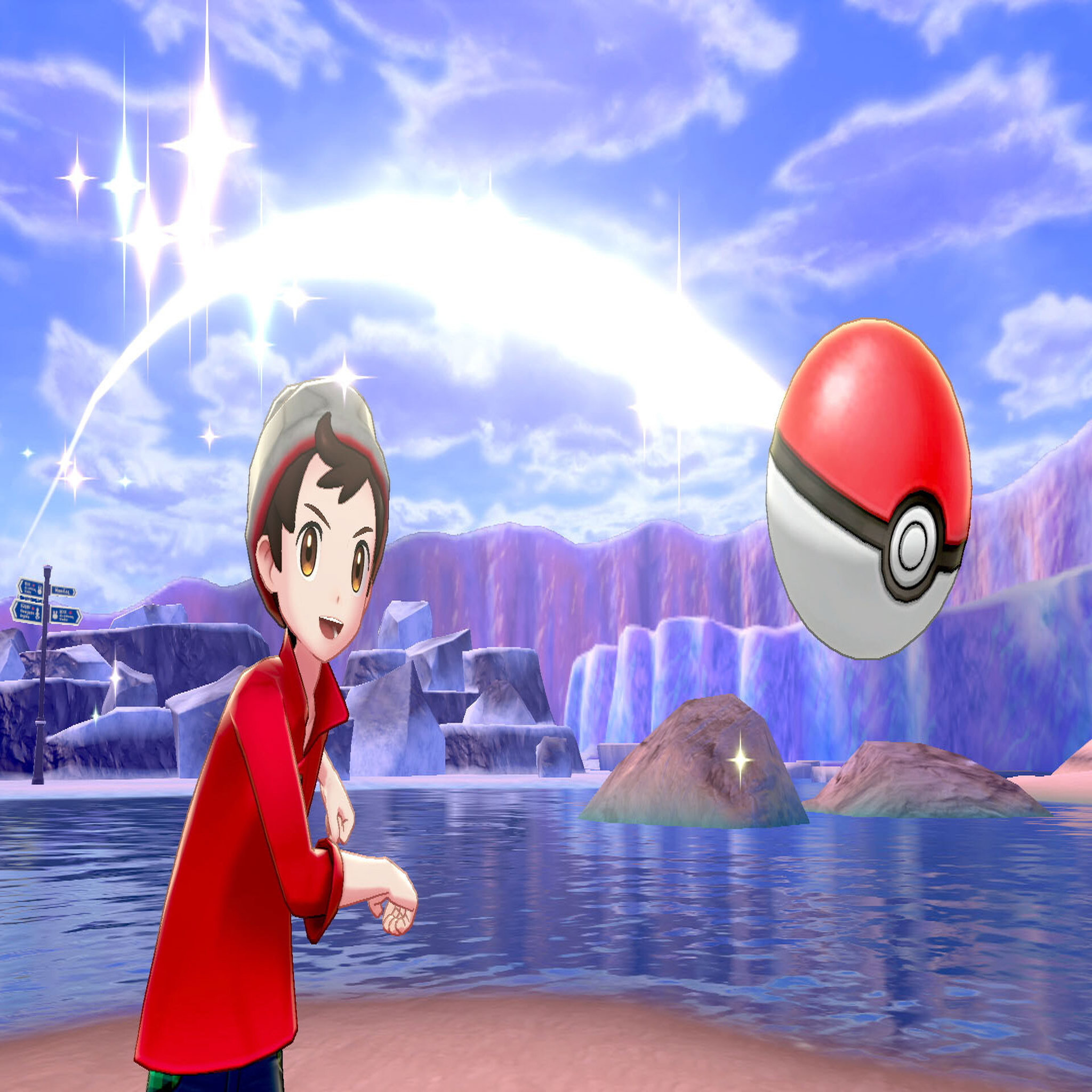Voir la diapositive 6 : NINTENDO Pokémon Epée + Pass Extension Pokémon Epée Nintendo Switch