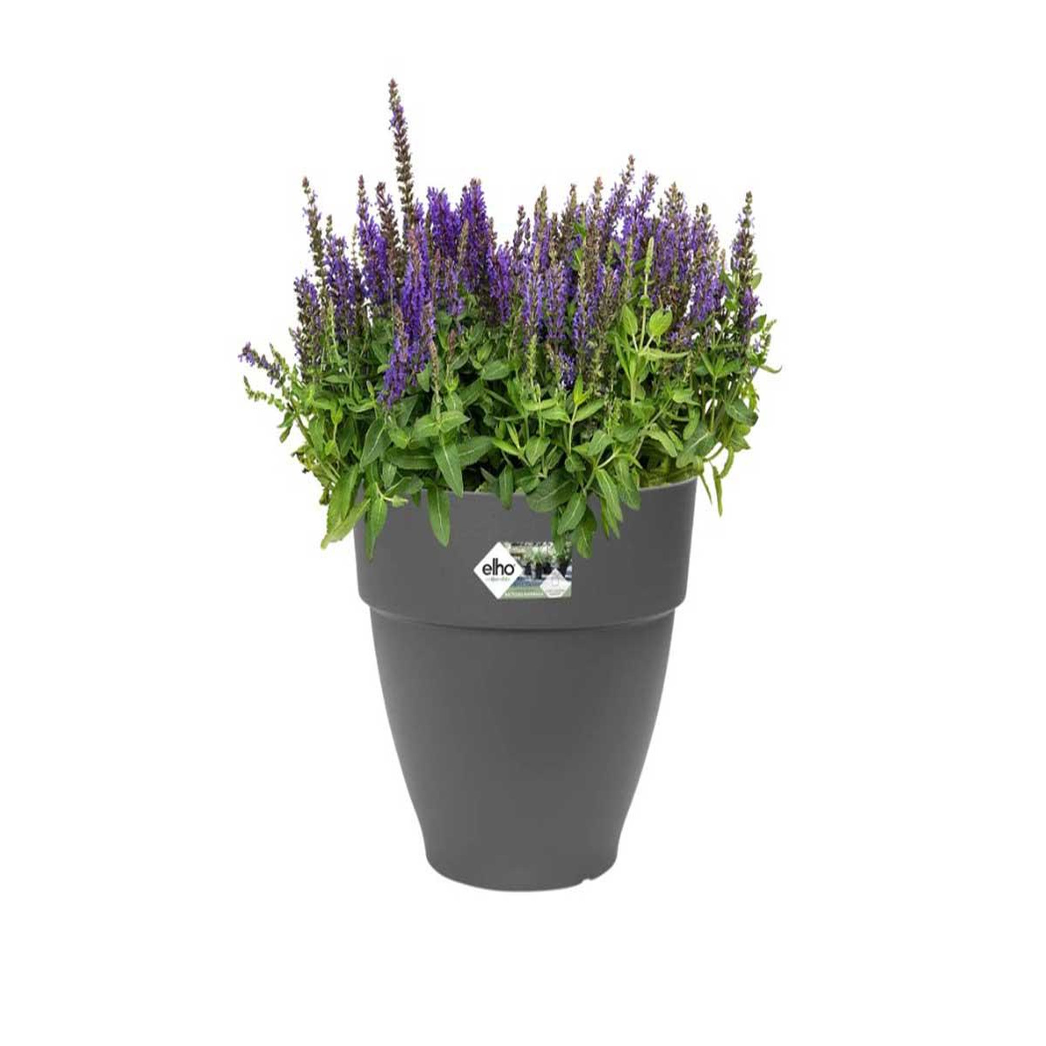 Voir la diapositive 2 : ELHO Pot de fleurs rond Vibia Campana - Ø 40 x H.33 cm - Anthracite - Elho