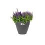 Voir la diapositive 2 : ELHO Pot de fleurs rond Vibia Campana - Ø 40 x H.33 cm - Anthracite - Elho