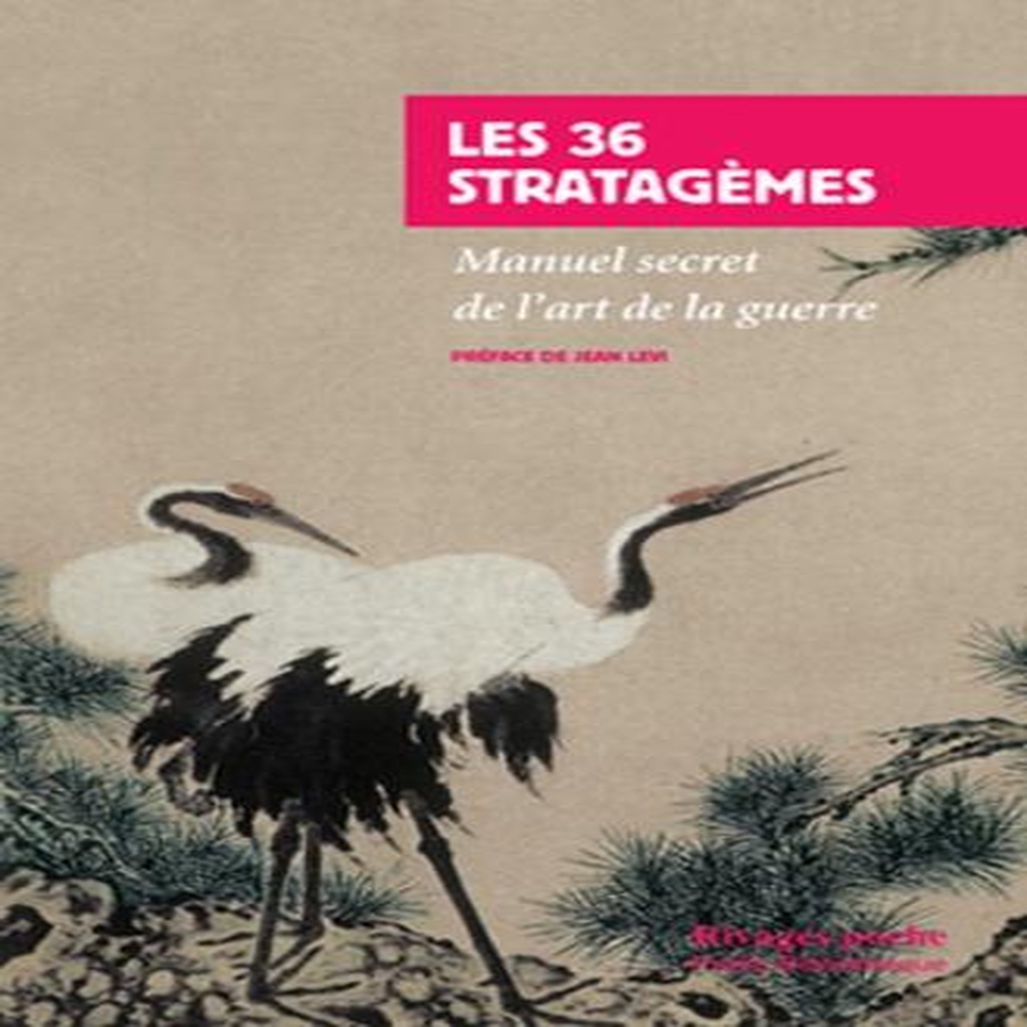 LES 36 STRATAGEMES. MANUEL SECRET DE L'ART DE LA GUERRE, Anonyme