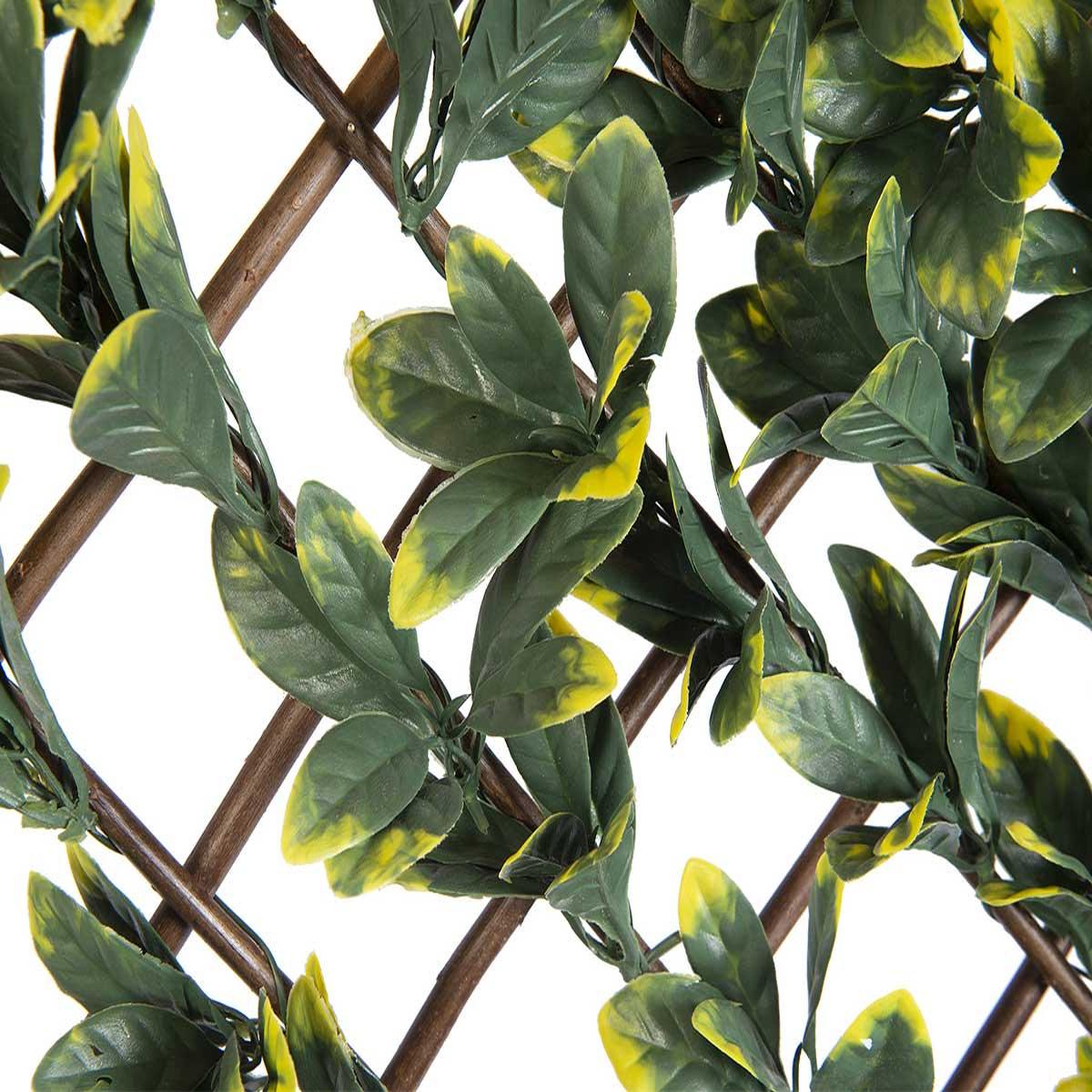 Voir la diapositive 2 : NATURE Treillis extensible en osier avec feuillage pe troène de californie 180 x 90 cm - nature