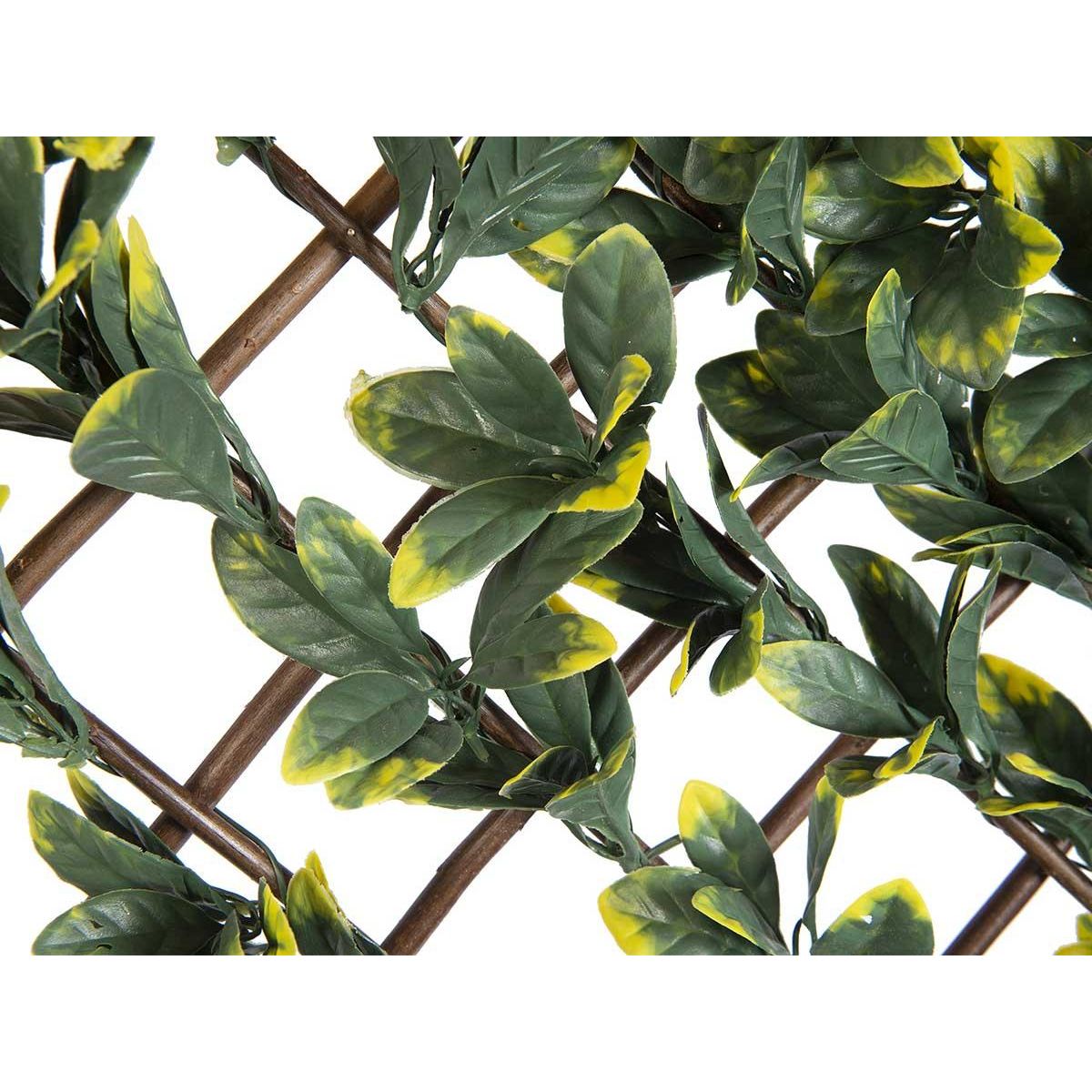 NATURE Treillis extensible en osier avec feuillage PE Troène de Californie 180 x 90 cm - Nature