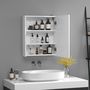 Voir la diapositive 4 : HOMCOM Miroir lumineux LED armoire murale design de salle de bain 2 en 1 dim. 50L x 15l x 60H cm MDF blanc