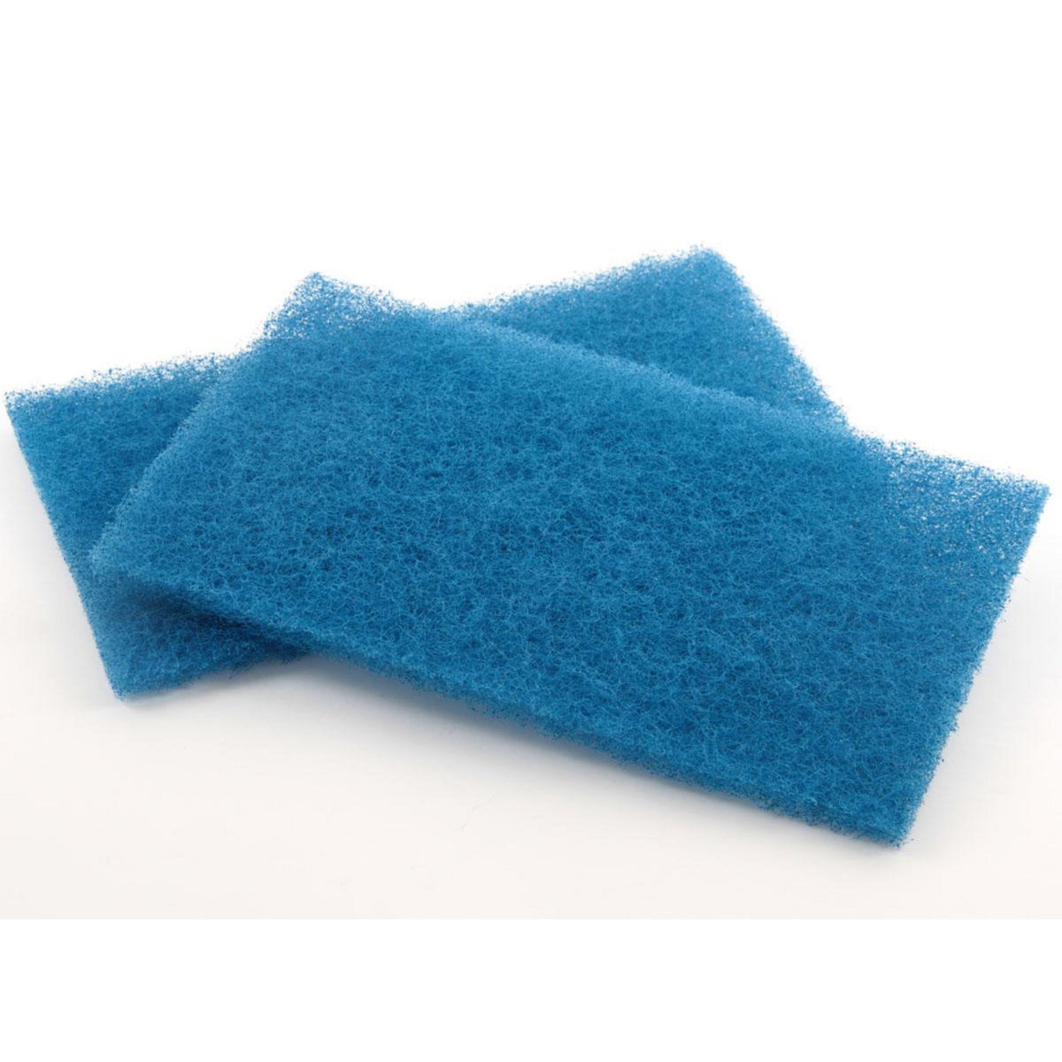 Hayward Lot de 2 éléments filtrants printemps pour robot électrique - Hayward