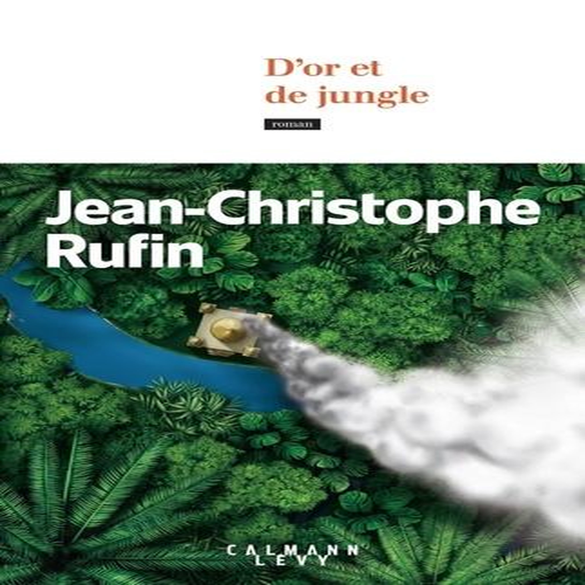 D'OR ET DE JUNGLE, Rufin Jean-Christophe