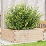 Voir la diapositive 1 : VIDAXL Jardiniere 70x70x23 cm bois de pin massif