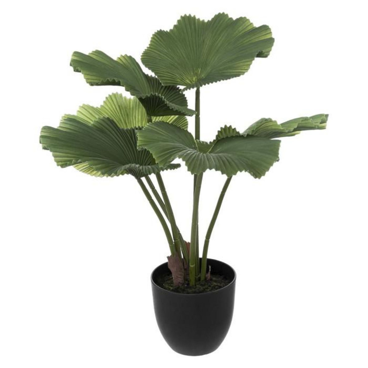 ATMOSPHERA Plante Artificielle Déco  Palmier  65cm Vert & Noir