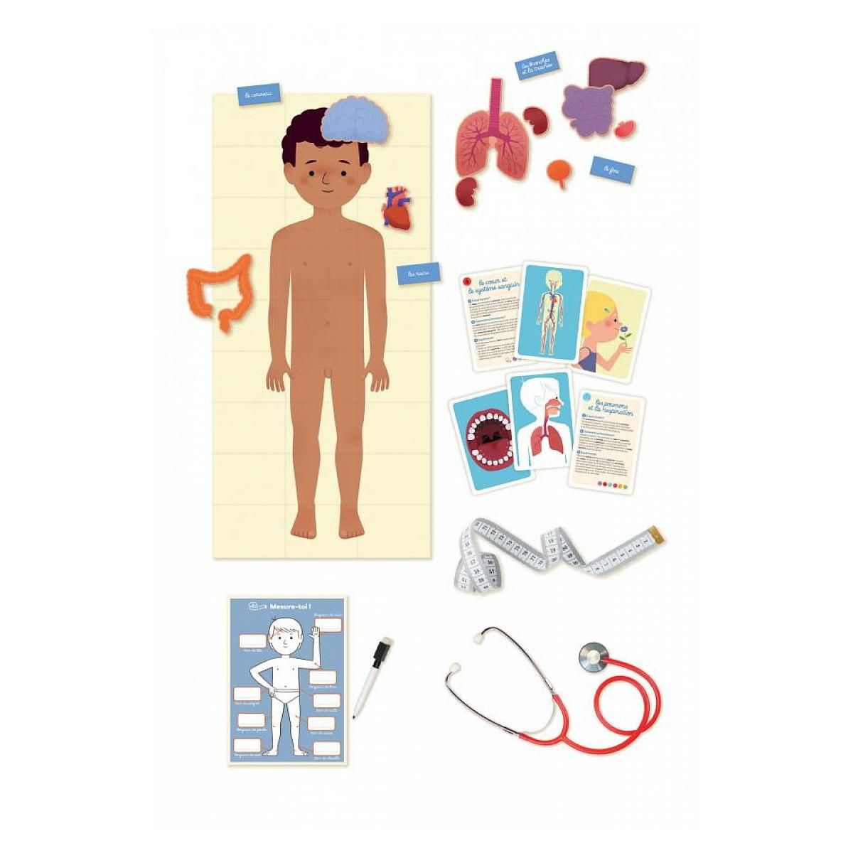 Nathan J apprend le corps humain