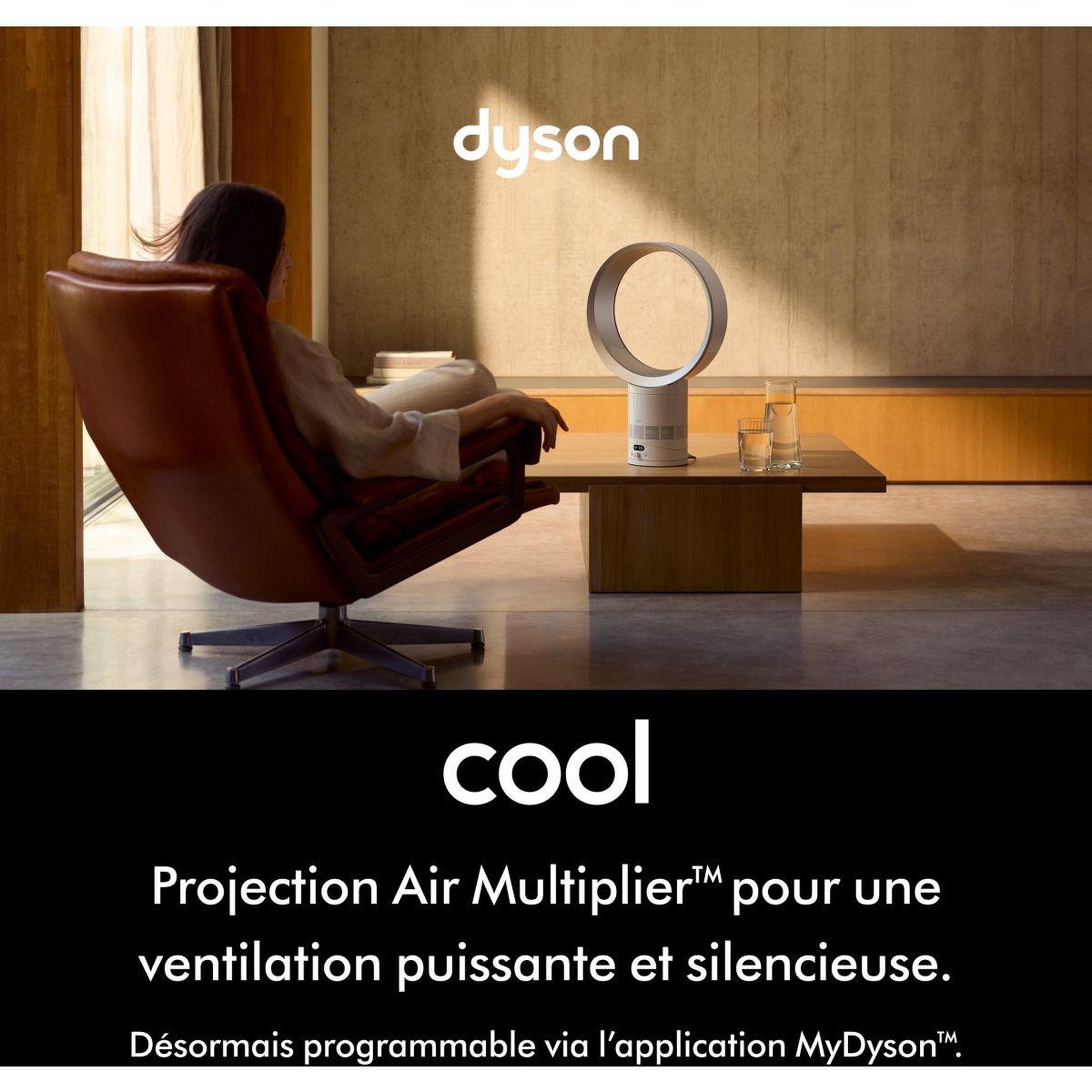 Voir la diapositive 2 : Dyson Ventilateur AM12 Cool CF1