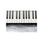 Voir la diapositive 2 : Paris Prix Papier Peint  Inspired By Chopin Grey Stone