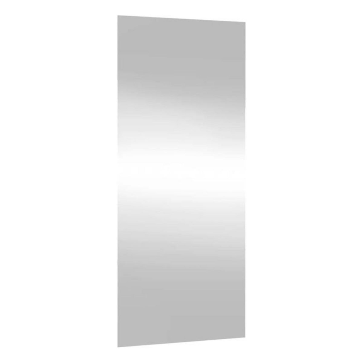 VIDAXL Miroir mural 30x80 cm verre rectangulaire