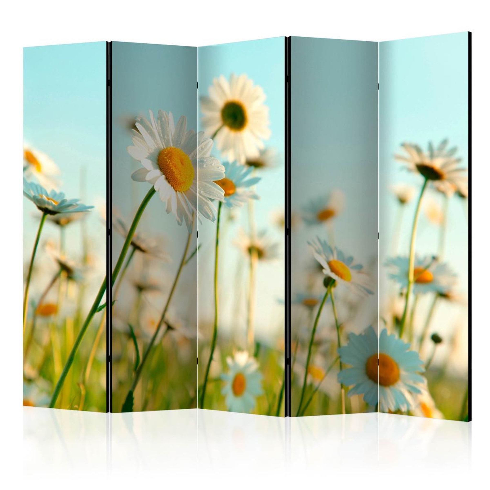 Paris Prix Paravent 5 volets  daisies spring meadow ii  172x225cm