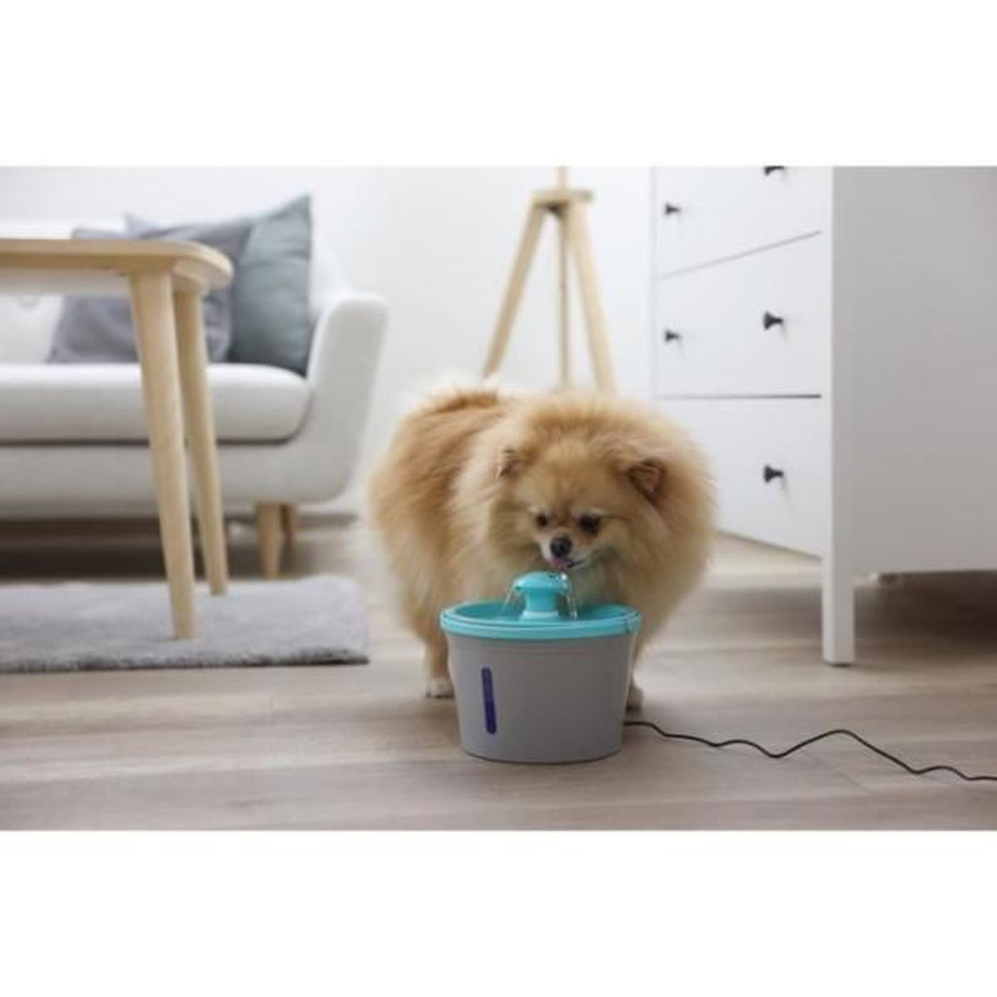 Voir la diapositive 5 : KERBL KERBL - Fontaine a eau -pour fontaine 80557 - 1,6 l - Gris/bleu