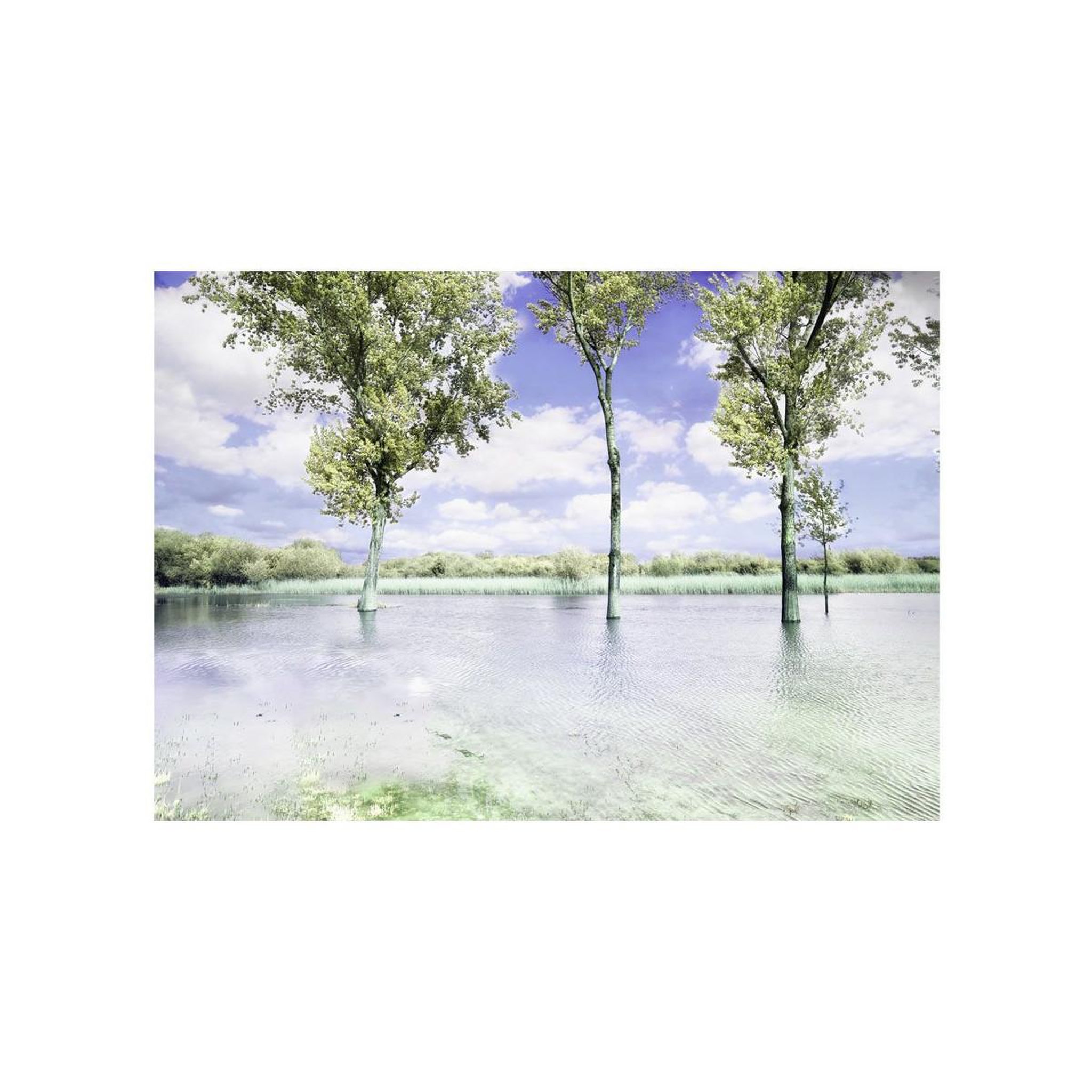 Voir la diapositive 2 : Paris Prix Papier peint  spring scenery