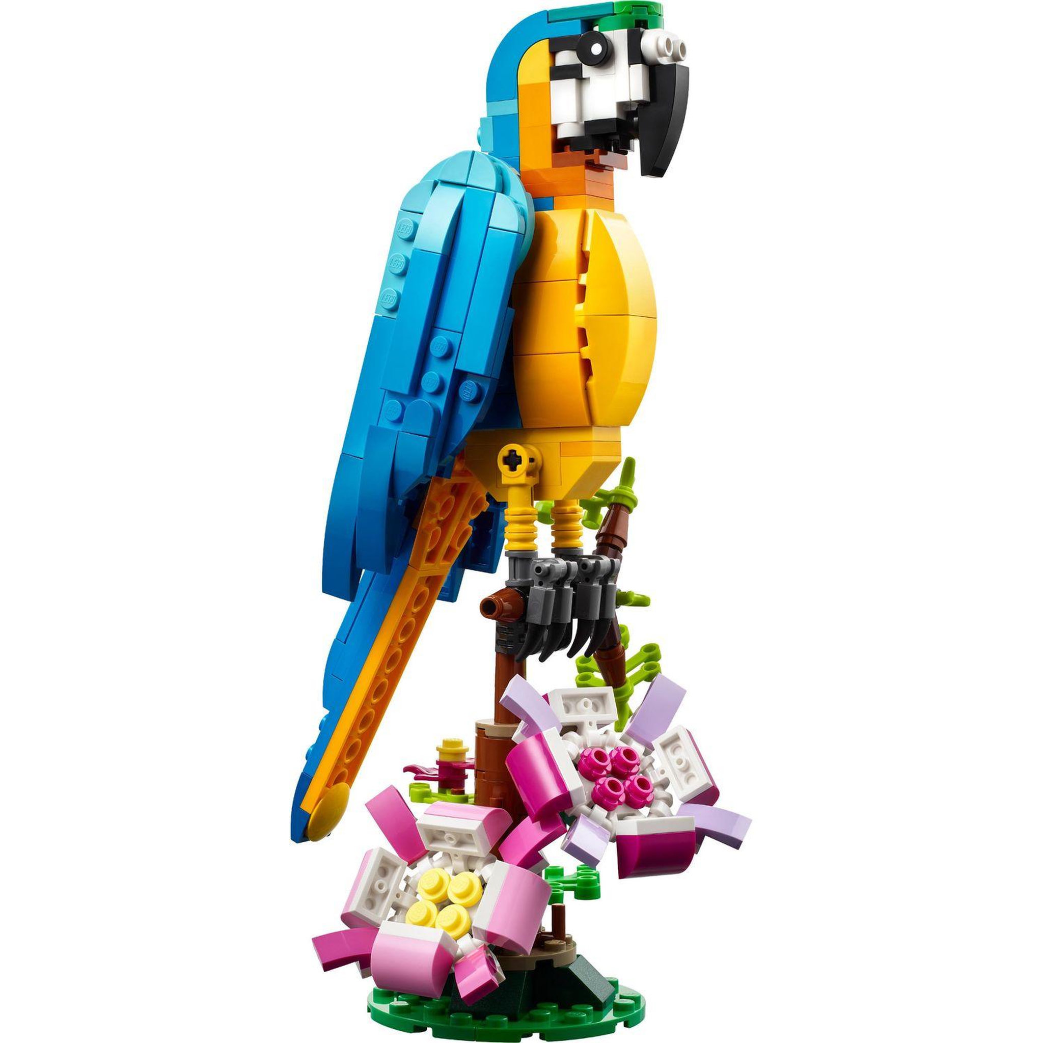 Voir la diapositive 3 : LEGO Creator  31136 - Le perroquet exotique, Jouet de Construction, Figurines Animaux de la Jungle, avec Grenouille et Poisson