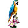 Voir la diapositive 3 : LEGO Creator  31136 - Le perroquet exotique, Jouet de Construction, Figurines Animaux de la Jungle, avec Grenouille et Poisson