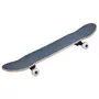TONY HAWK Skateboard Noir Tony Hawk 540 Wasteland Complet 8IN