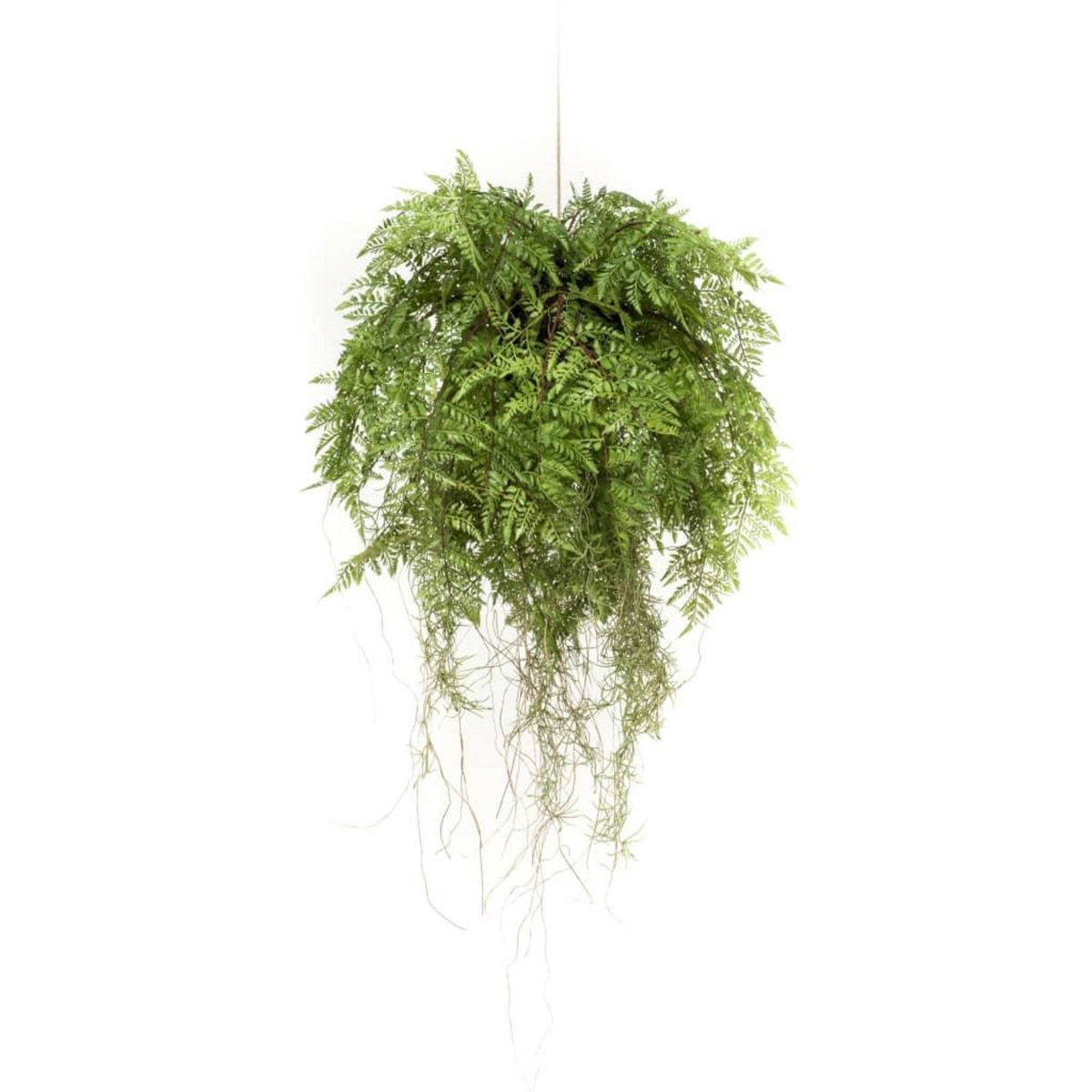 EMERALD Emerald Fougere artificielle suspendue avec racines 55 cm