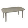 Voir la diapositive 1 : GROSFILLEX Table de jardin - Résine - Taupe - 165x100cm - MIAMI