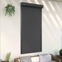 Voir la diapositive 1 : VIDAXL Volet roulant aluminium 110x220 cm anthracite