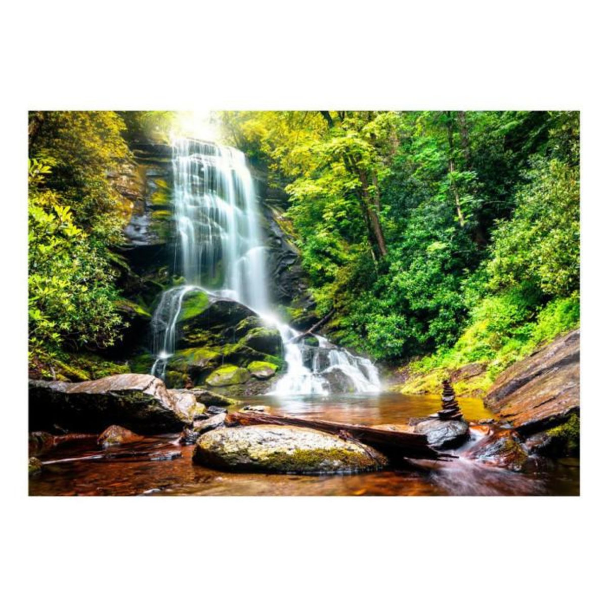 Paris Prix Papier Peint  Wonder of Nature