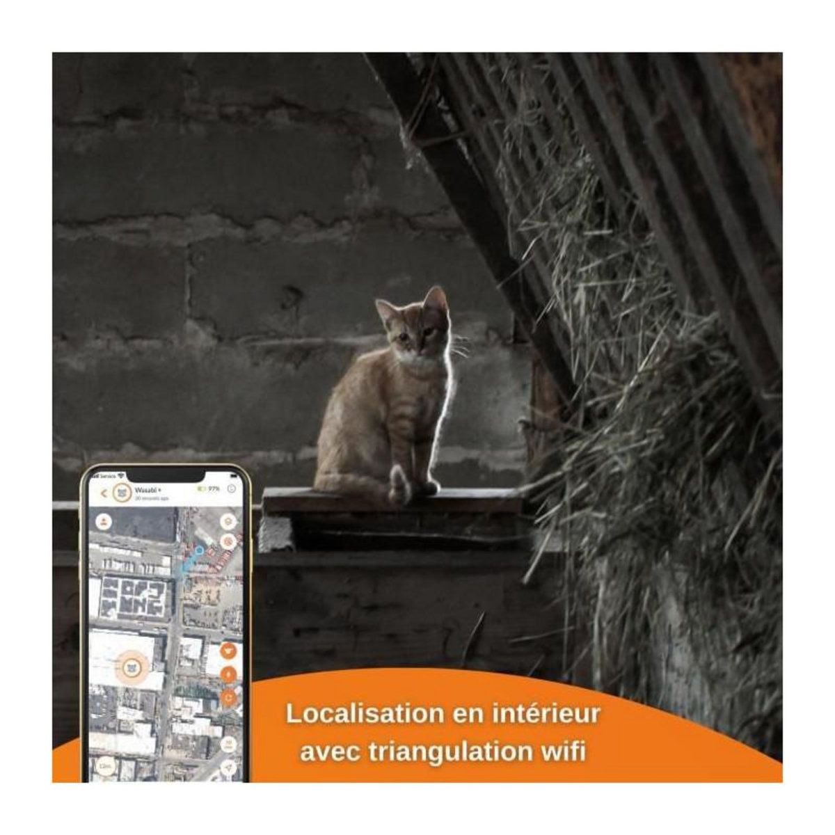 WEENECT Traceur GPS pour Chat - Weenect XS (White Edition 2023)