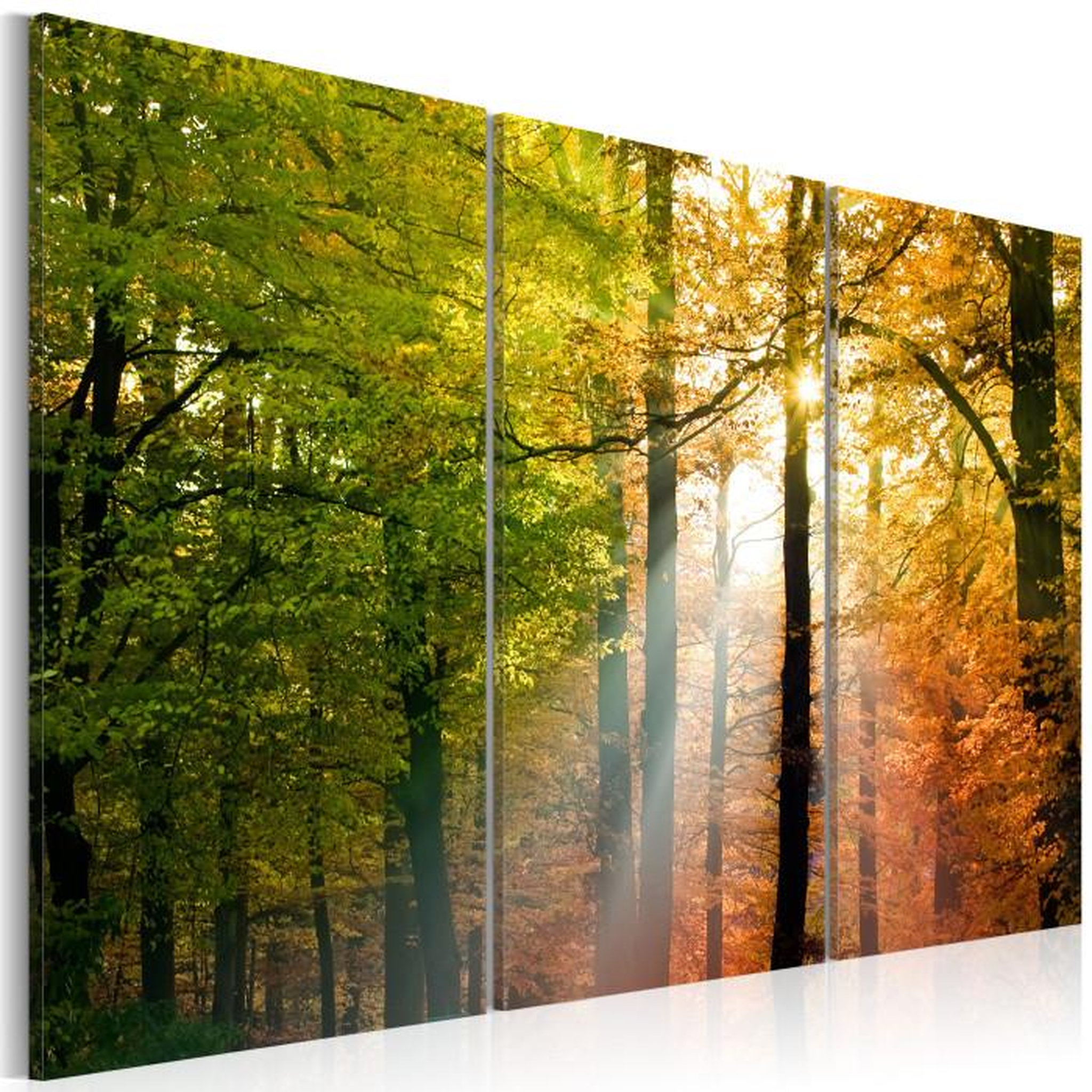 Paris Prix Tableau Imprimé II  Forêt D'automne. Coloris disponibles : Multicolore