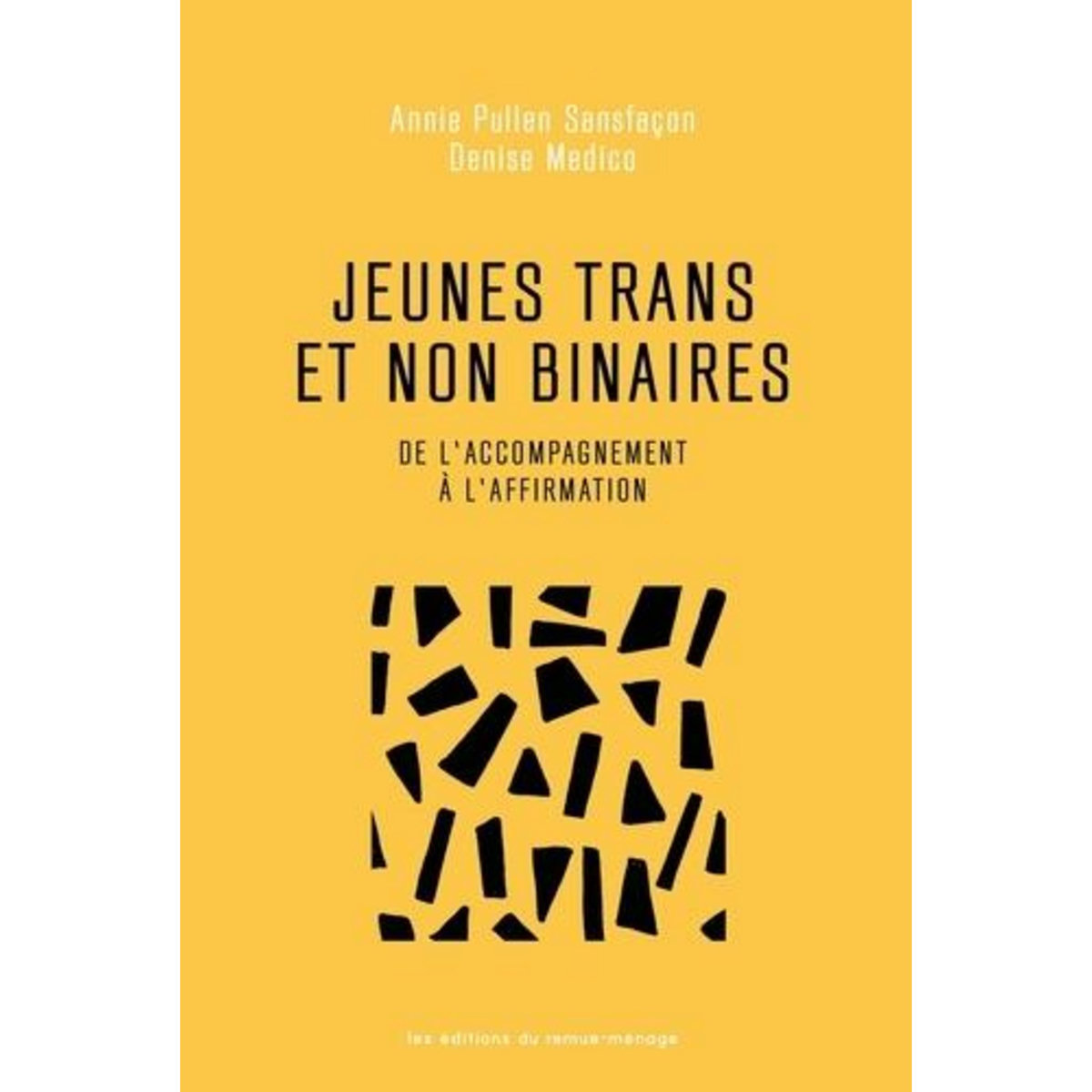 JEUNES TRANS ET NON BINAIRES. DE L'ACCOMPAGNEMENT A L'AFFIRMATION, Pullen Sansfaçon Annie