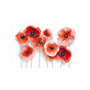 Voir la diapositive 2 : Paris Prix Papier Peint  Nine Poppies
