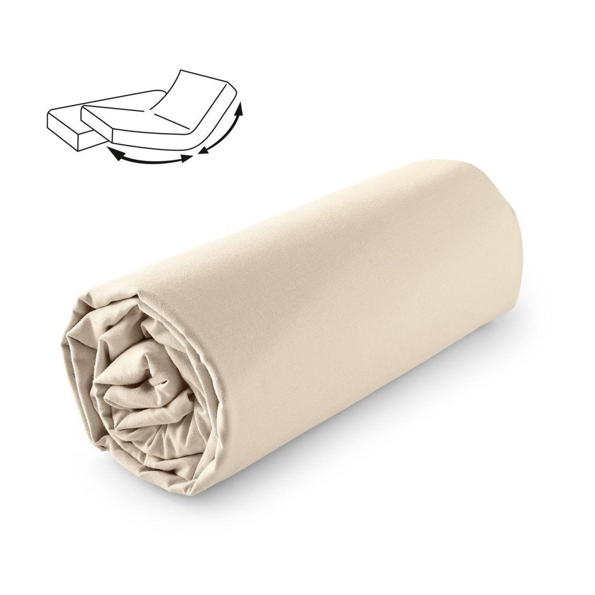 ACTUEL Drap housse uni en coton 57 fils - collection permanente