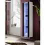 Voir la diapositive 1 : Paris Prix Vitrine LED Murale Design  Fly II  170cm Noir & Blanc