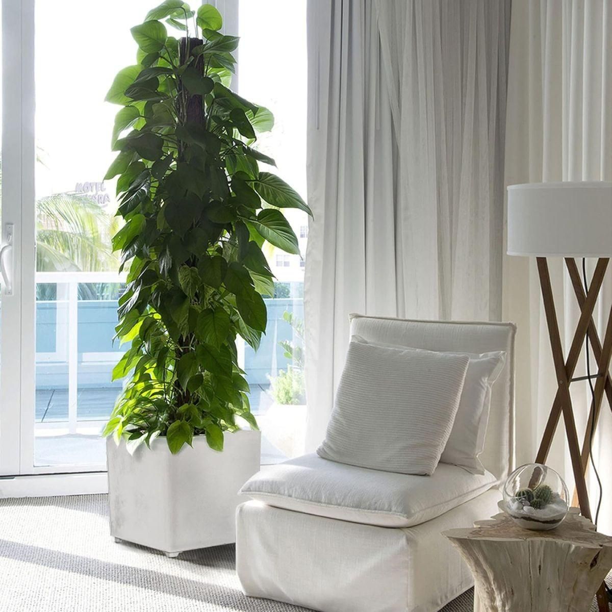 ART PLAST Pot de Fleur Carré Gris 50L 40x40cm - Jardinière Extérieure Balcon Terrasse Jardin ARTPLAST