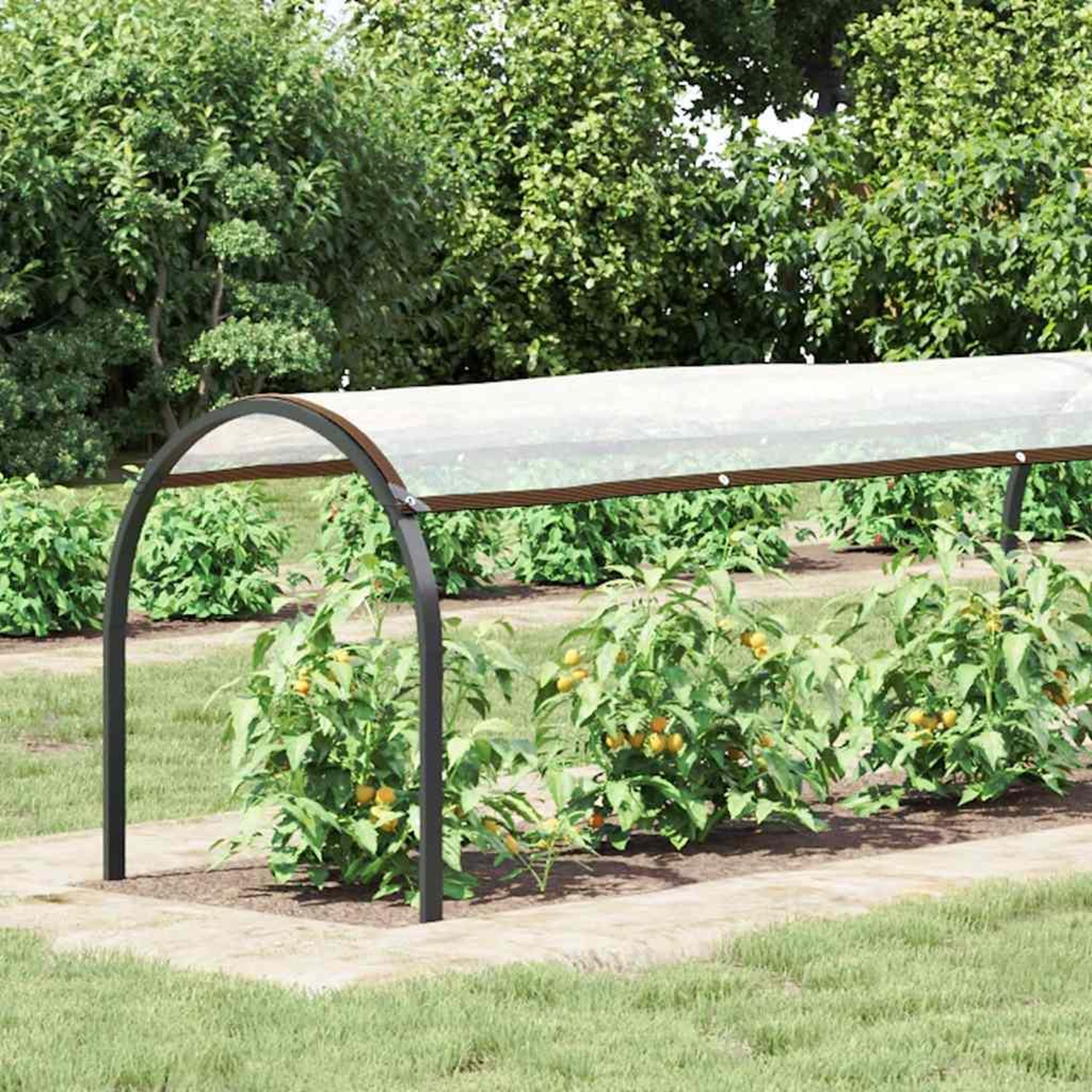Voir la diapositive 2 : VIDAXL Bache transparente avec œillets 1x12 m polyethylene