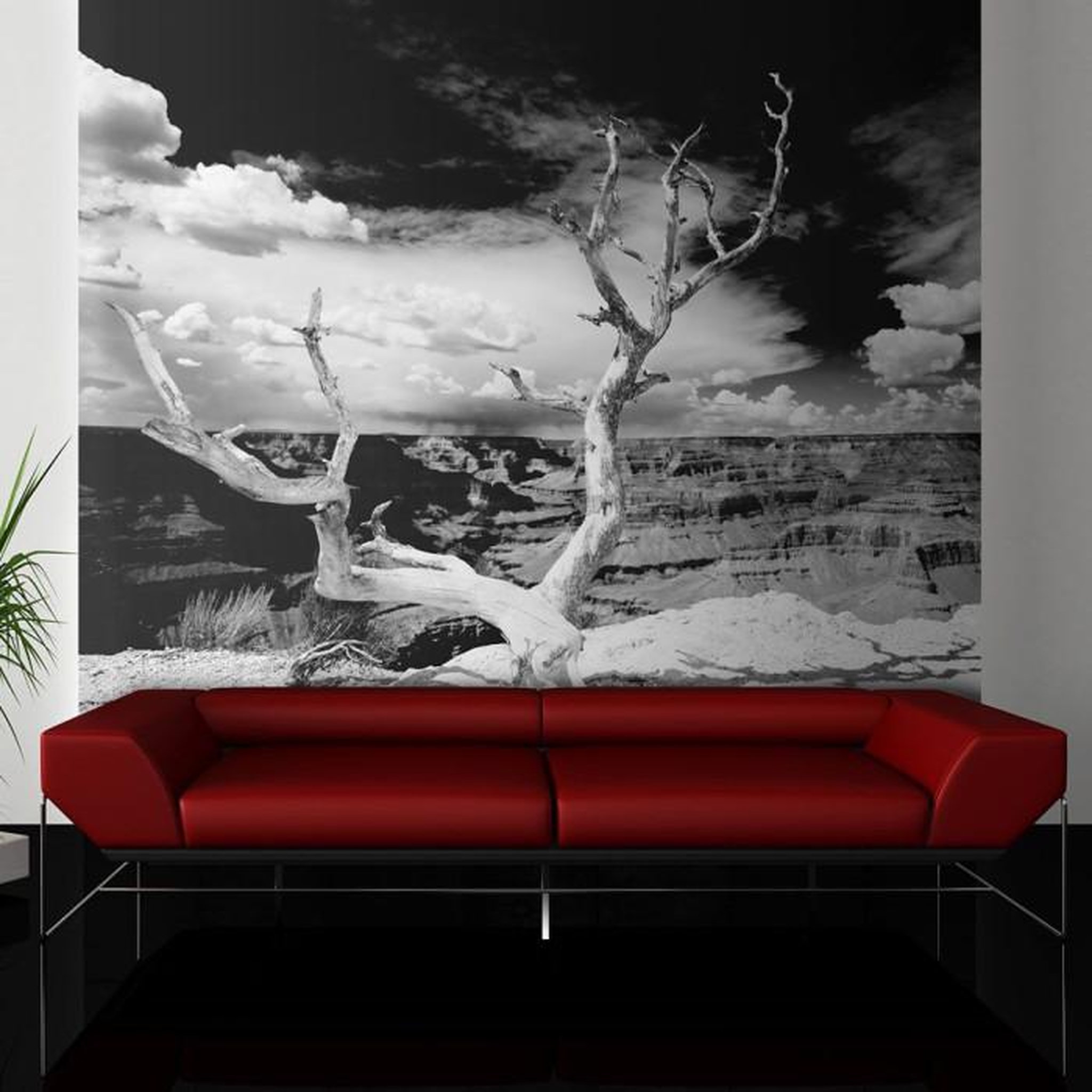 Paris Prix Papier Peint  Arbre au Grand Canyon, Arizona. Coloris disponibles : Multicolore