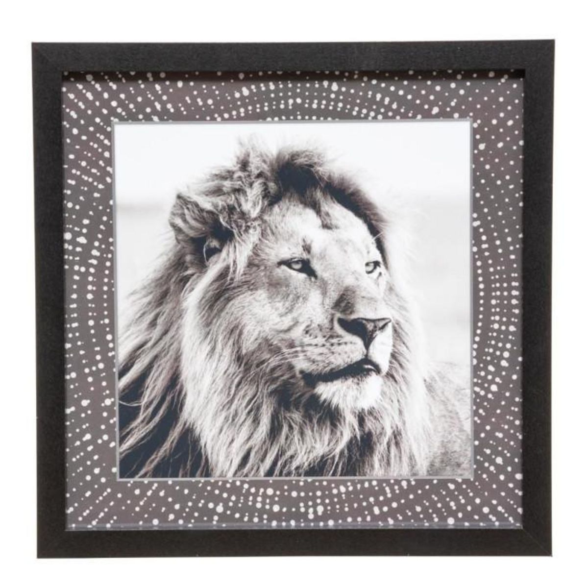 ATMOSPHERA Lot de 5 Cadres Déco  Savane  25cm Noir